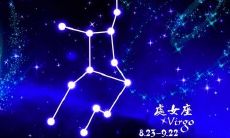 处女座占星学术语（星座八宫代表什么意思）
