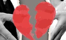 1982年属狗女在2023年感情运势如何（1982年属狗女2023年命运）