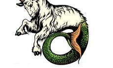 十二星座里的摩羯座是什么动物（摩羯座女生配什么星座）