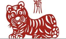 一家三口都属鸡的适合住几楼（93年属鸡适合住几楼）