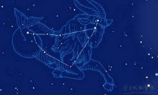 摩羯座运势2023年运势8月（摩羯座学业运势2023）