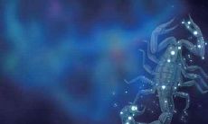 太阳天蝎上升狮子座的人会喜欢什么女生（月亮摩羯的女人不好惹）