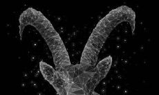 摩羯男见到喜欢的女生的表现（表白后摩羯男的几种反应）