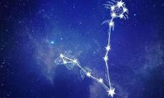 双鱼座理智起来的样子（双鱼座很笨吗）