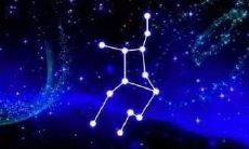 什么星座的人事业成功（最有成就的星座）