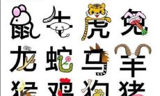 2023年出生属猪什么命（1972年属鼠的是什么命）