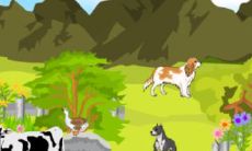 生态农场取名字（生态农场取名）