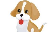 1994年狗男与1995年猪女合婚吗（1995年猪和1996年属合婚）