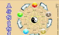 五行八卦中间是什么（五行八卦各代表什么）
