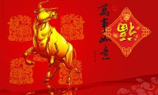 34岁属虎是什么命（属虎46岁是什么命）