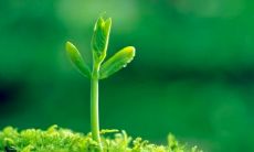 双鱼座上周运势女（双鱼座最近一周的运势）