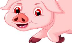 属猪的人今年的运势是不是不好（属猪人今年财运）