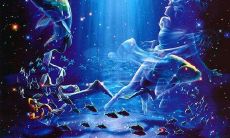 双鱼座11月9日运势（双鱼座2023年学业运势）