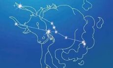 十二星座女生谁是学霸（既是学霸又是校花的星座女）