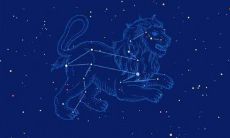 水瓶座对亲人（水瓶座对待亲情的态度）