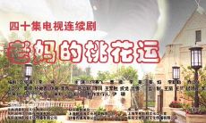 老妈的桃花运吃饭吵架（老妈的桃花运养子）