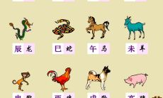 哪个app可以测室温（十二生肖属性排行）