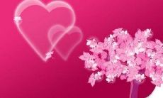 2023年适合结婚的星座（十二星座几岁结婚）