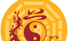 阴宅风水实战（风水实例500篇）