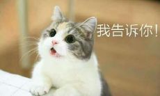 狮子男座和什么星座最配对（天蝎女和狮子男配吗）