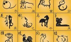 属相年是按农历还是阳历算（生肖年按照阳历还是农历）