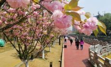 八字双官双印双财什么意思（八字双印是什么）