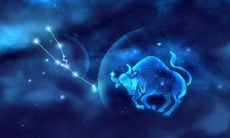 金牛座阳历生日是多少号（金牛座阴历是几月几日）