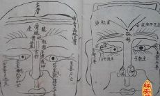 相面财运线图解大全（女人富贵命罕见手相）