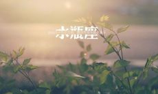 水瓶男生喜欢什么样女生（水瓶座男生怎么样）