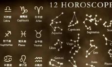 十二星座中的狮子座是什么超杰力豆（射手座的爱豆是谁）