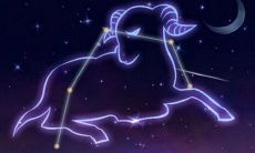 白羊座容易上头吗（最管得住白羊座的星座）