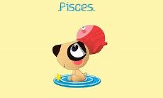 处女男与双鱼女配对指数（双鱼男配天蝎女）