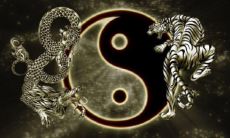 日柱带有绞煞寡宿什么意思（日柱神煞华盖寡宿）