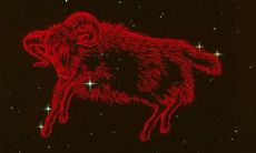 射手座不会挽留吗（射手座被拒绝会放弃吗）