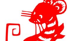 属鸡人的命运怎么样（属鸡六月出生的人命运）