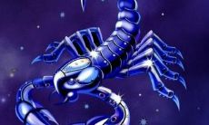 摩羯座的声音是属于哪种类型（摩羯座和天蝎座）