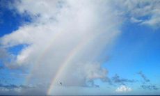 今天十二号三十号属猪财运怎么样（96年属鼠的是什么命）