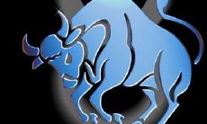 水瓶座女生金钱观（水瓶座女生在感情方面）