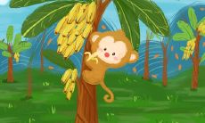 68年的人2023的财运（68年属猴人的财运在哪个方向）