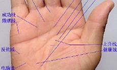 大拇指看手相看恋爱时间（让人看手相忌讳）