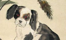 属狗都是哪一年生的（38岁属狗哪年出生）