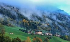 2023年11月29日时辰吉凶（2023年70年属狗运程）