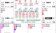 紫微十四主星怎么算（紫微主星力量排名）