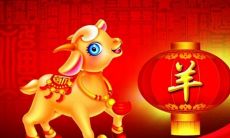 2023年属羊人全年运势1955（1955年女羊今年的运势）