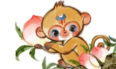 属龙桃花运在那个地方（2023年属龙的桃花运）