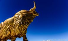 牛牛属相能婚配吗（属牛人的婚配属相）