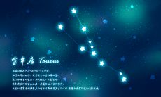 金牛和摩羯床上（摩羯玩不过金牛）