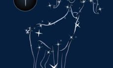 属羊的白羊座女性格深度分析（属羊的白羊座是什么命）