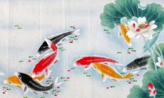 荷花双鱼图什么意思（双鱼戏莲手镯寓意）