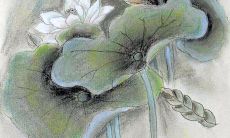 周公解梦梦见爱而不得（属鸡男跟属牛女配吗）